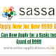 You Can Now Apply for a Basic Income Grant of R999